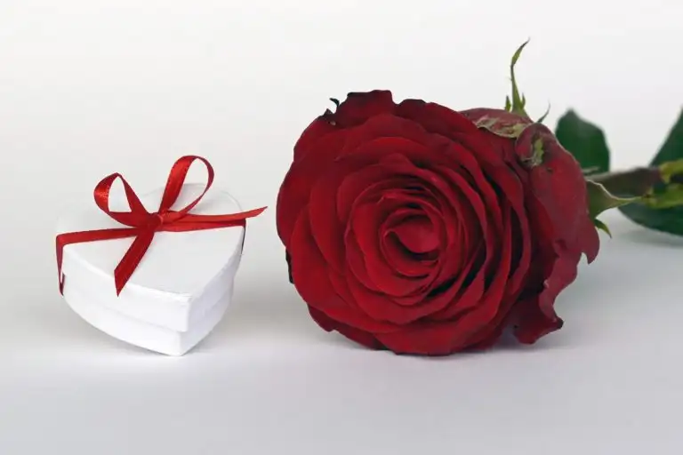 flowers-gifts-768x512